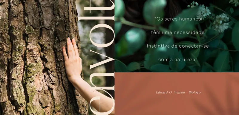 Perspectiva do Envolt