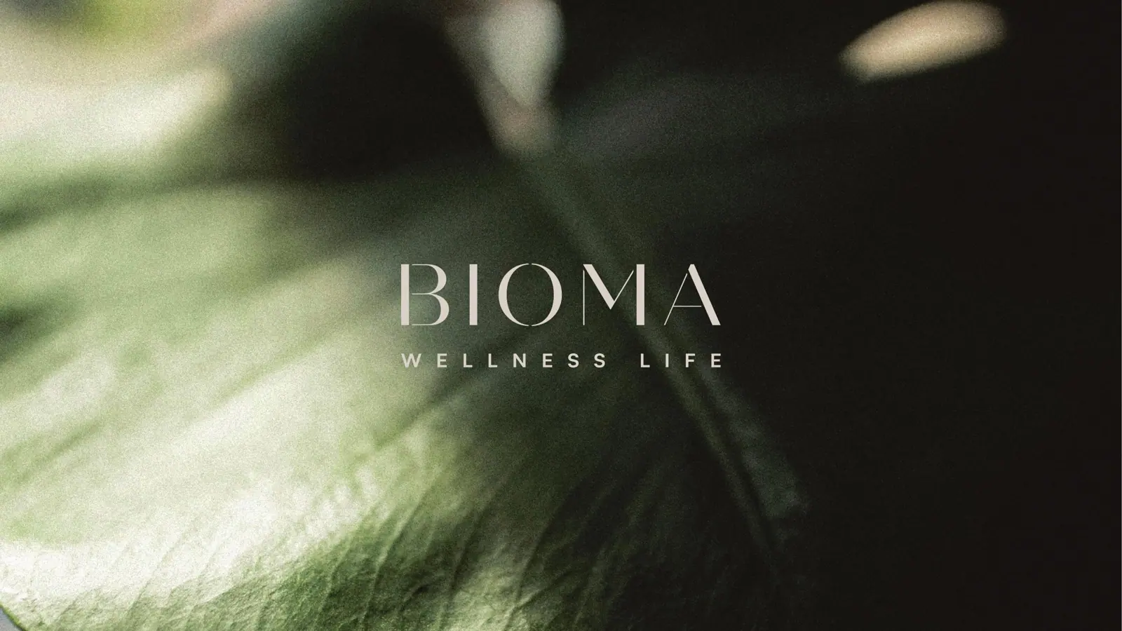 Perspectiva do Bioma Wellness Life