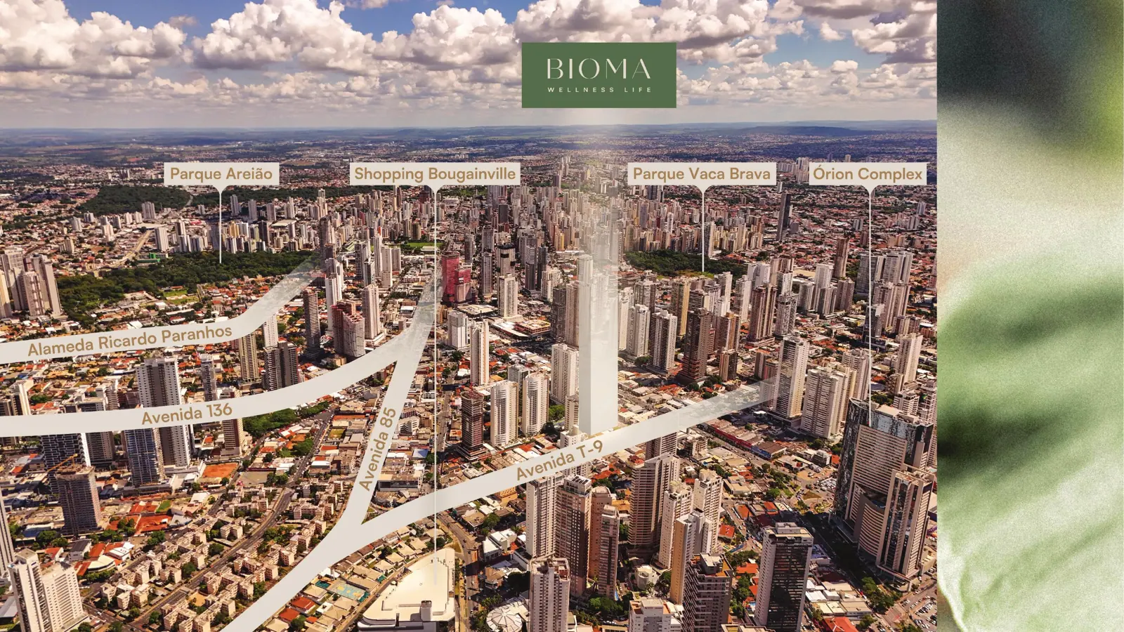 Perspectiva do Bioma Wellness Life, imagem 6