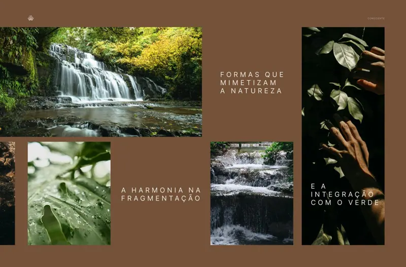 Perspectiva do Solenne Consciente